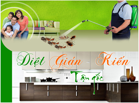 Diệt côn trùng
